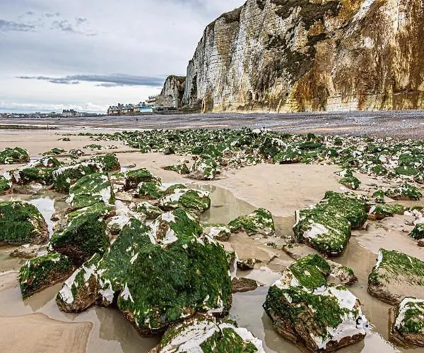 Les Grandes Masures Vasterival Homestay *